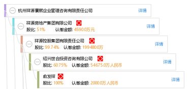 杭州祥源寰熙企業(yè)管理咨詢有限責(zé)任公司 信息技術(shù)咨詢服務(wù)的專業(yè)支持